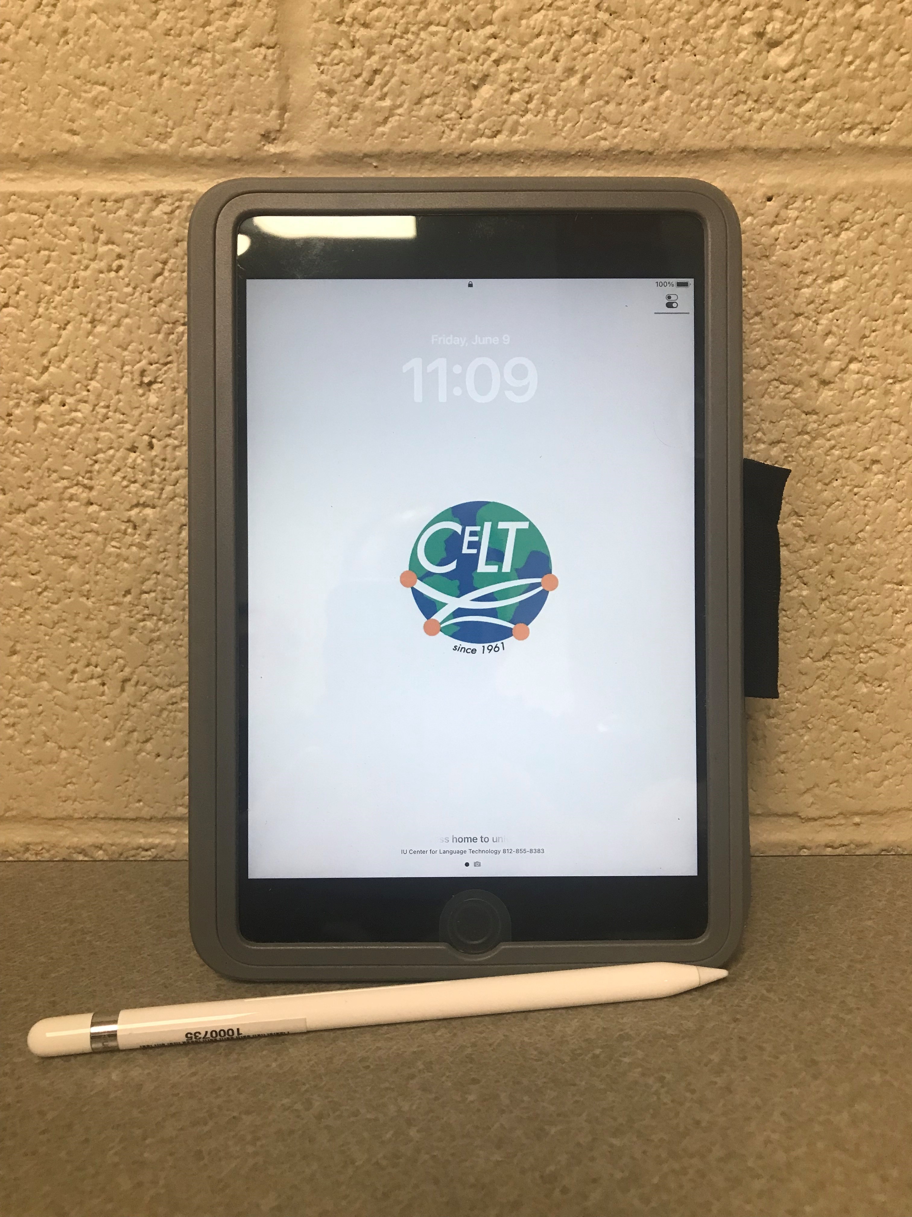 iPad mini